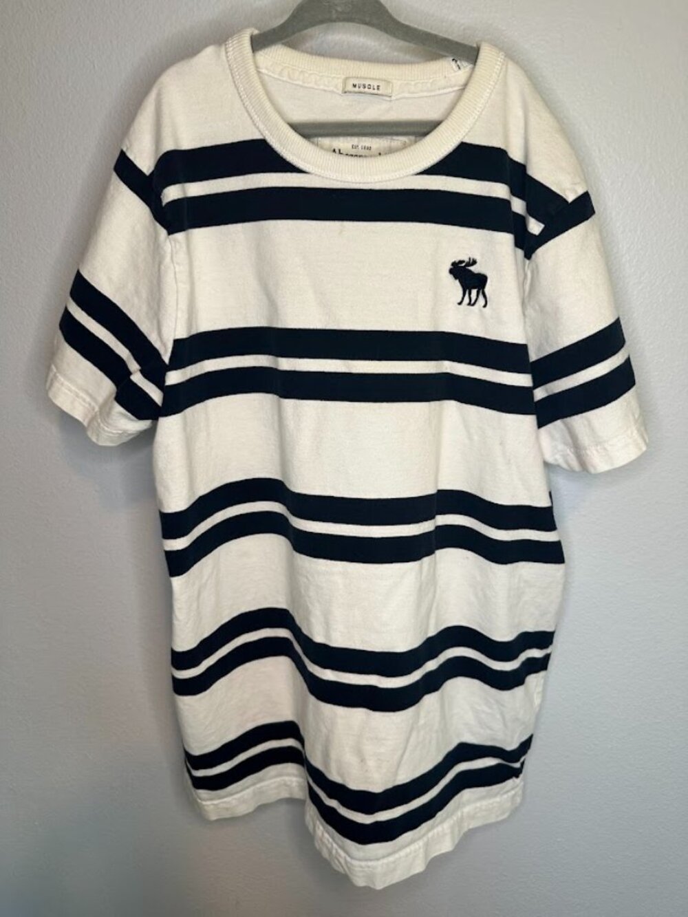 Abercrombie & Fitch Men's Muscle Fit Blue & Off White Striped Logo Tee - Large